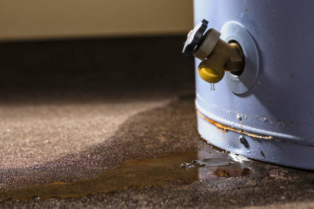  South Bradenton, FL Water damage restoration Pros