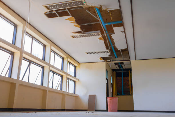 Best Water damage restoration experts  in South Bradenton, FL