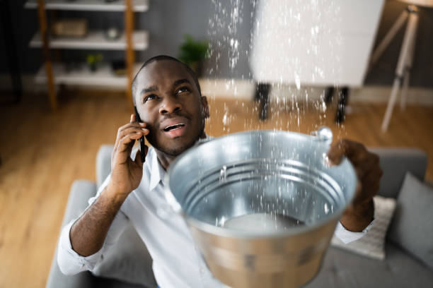 Best Emergency water extraction  in South Bradenton, FL