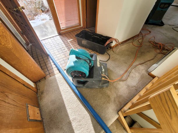 Best 24/7 water damage repair  in South Bradenton, FL