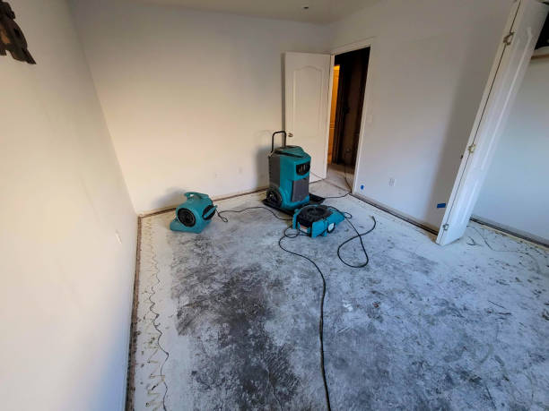 Best Water damage repair service  in South Bradenton, FL