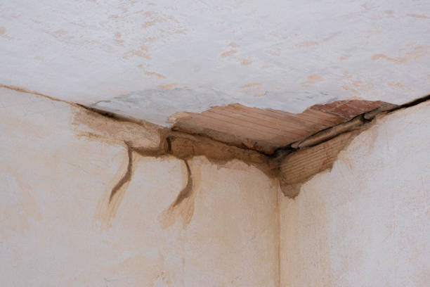Best Water damage restoration near me  in South Bradenton, FL