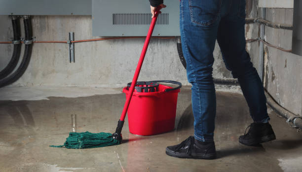 Best Water damage cleanup near me  in South Bradenton, FL