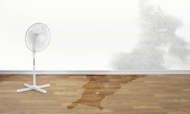 Best Residential water damage restoration  in South Bradenton, FL