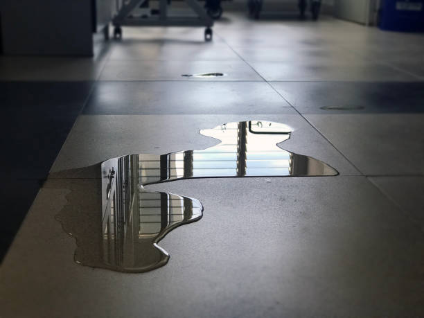Best Water damage restoration near me  in South Bradenton, FL
