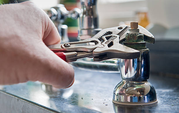 Best Mold removal after water damage  in South Bradenton, FL
