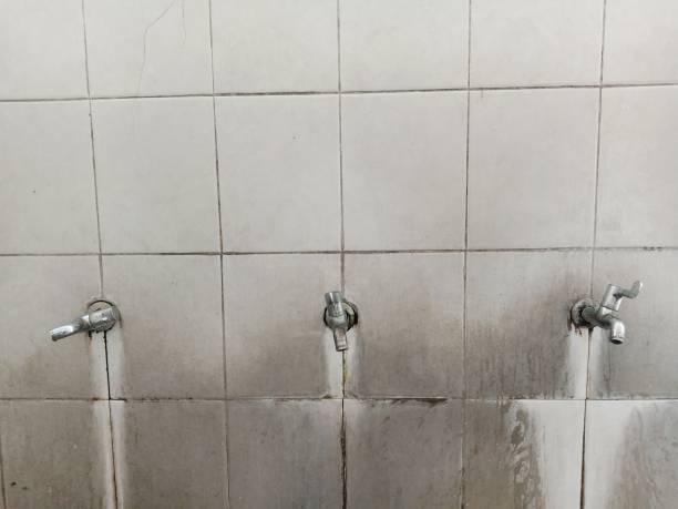 Best Commercial water damage restoration  in South Bradenton, FL