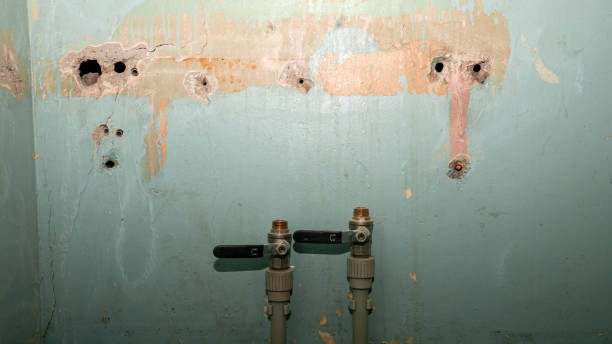 Water damage restoration experts in South Bradenton, FL