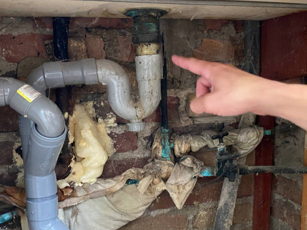 Best Water damage contractors near me  in South Bradenton, FL