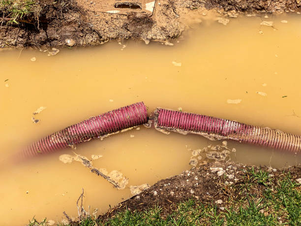 Trusted South Bradenton, FL Water damage restoration Experts