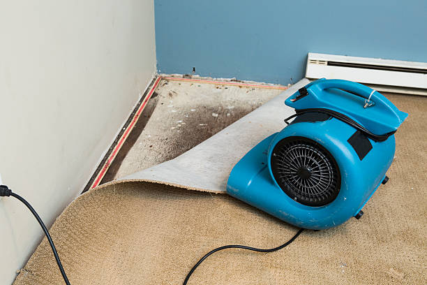 Best Flood damage cleanup  in South Bradenton, FL